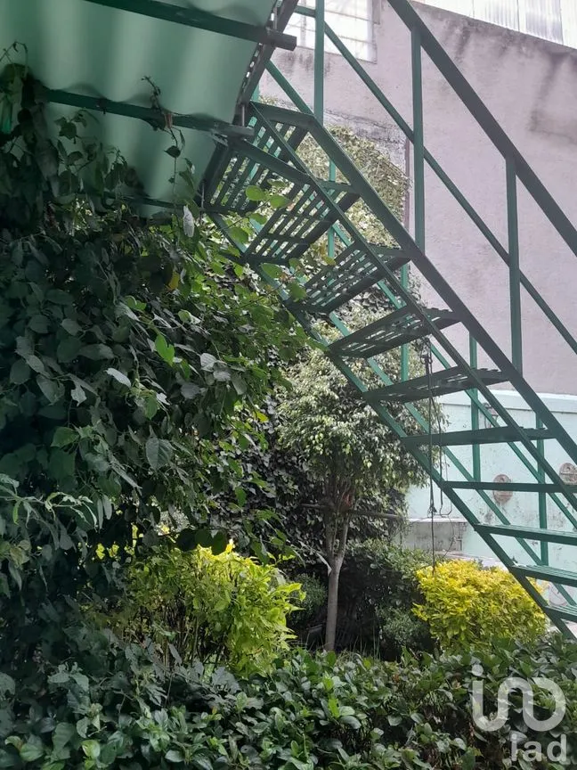 Casa en Venta en Estado de Hidalgo, Álvaro Obregón, Ciudad de México | NEX-252658 | iad México | Foto 9 de 19