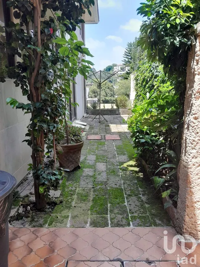 Casa en Venta en Bosque de las Lomas, Miguel Hidalgo, Ciudad de México | NEX-259174 | iad México | Foto 27 de 34