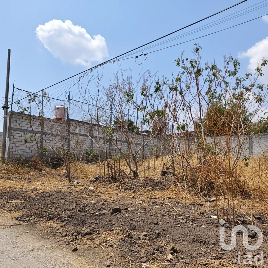 Terreno en Venta en Real de Oaxtepec, Yautepec, Morelos | NEX-295742 | iad México | Foto 4 de 10