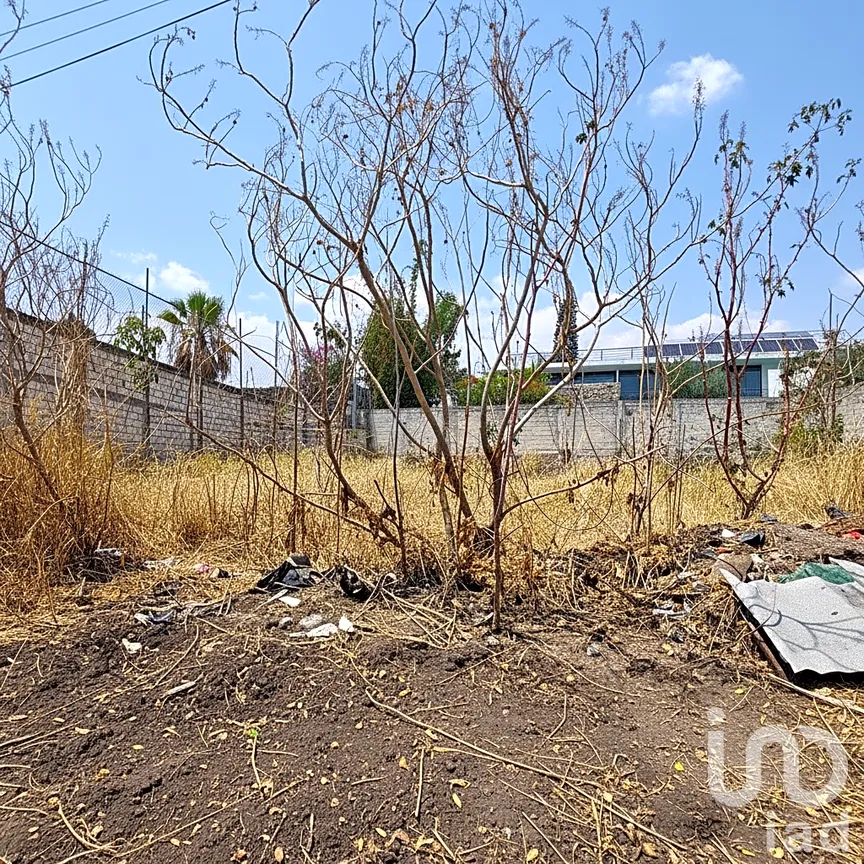 Terreno en Venta en Real de Oaxtepec, Yautepec, Morelos | NEX-295742 | iad México | Foto 6 de 10