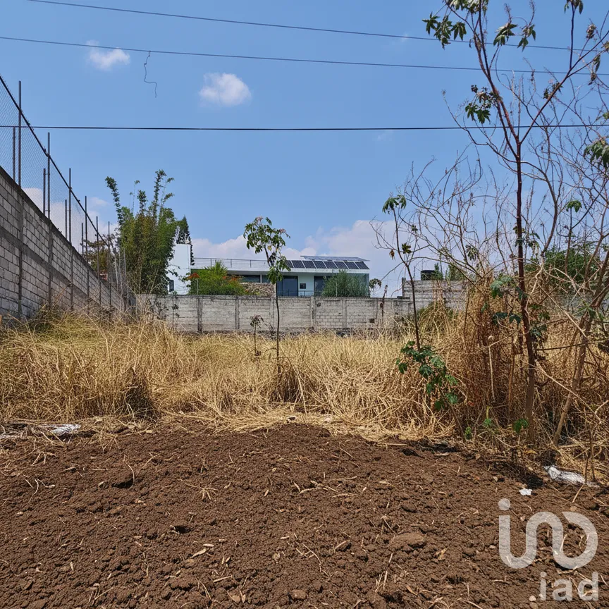 Terreno en Venta en Real de Oaxtepec, Yautepec, Morelos | NEX-295742 | iad México | Foto 9 de 10