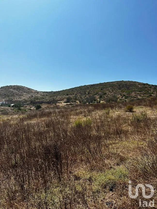 Terreno en Venta en Playa de Ensenada, Ensenada, Baja California | NEX-217940 | iad México | Foto 5 de 7
