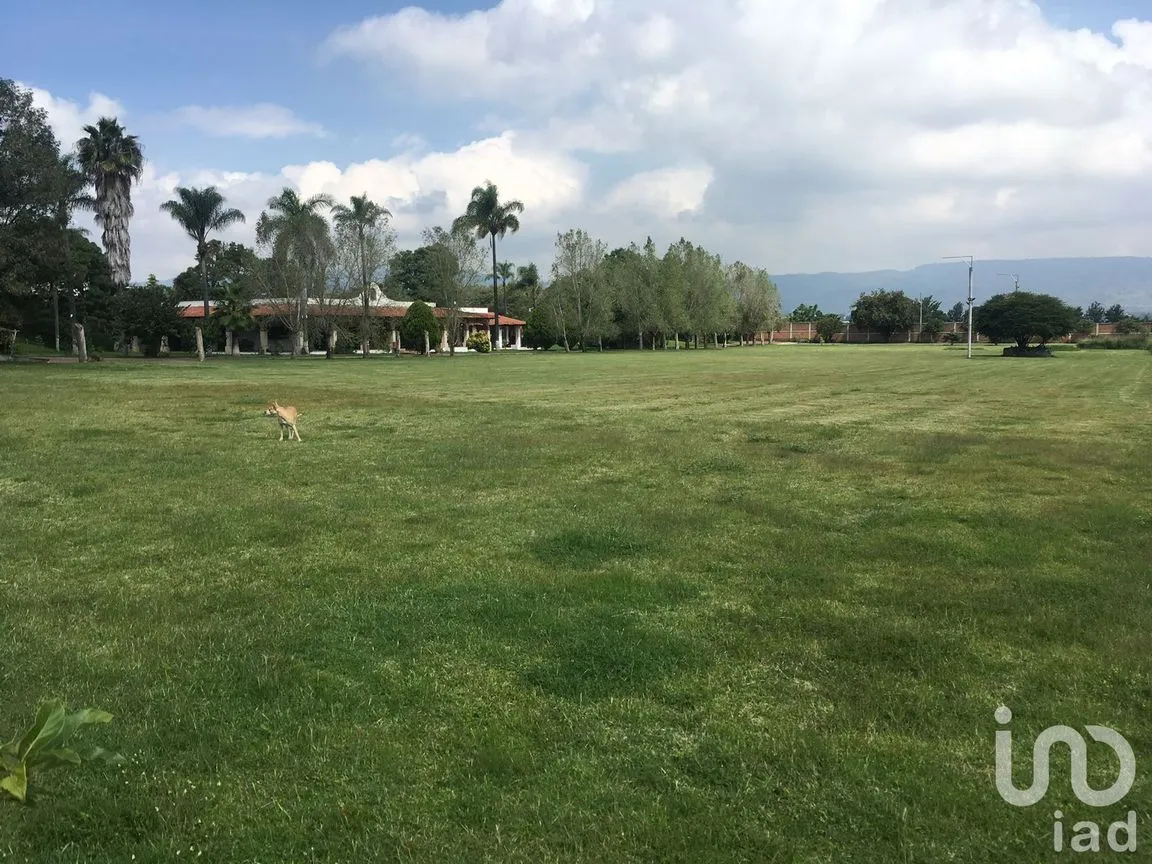 Rancho en Renta en Lomas de San Agustín, Tlajomulco de Zúñiga, Jalisco | NEX-218280 | iad México | Foto 5 de 9