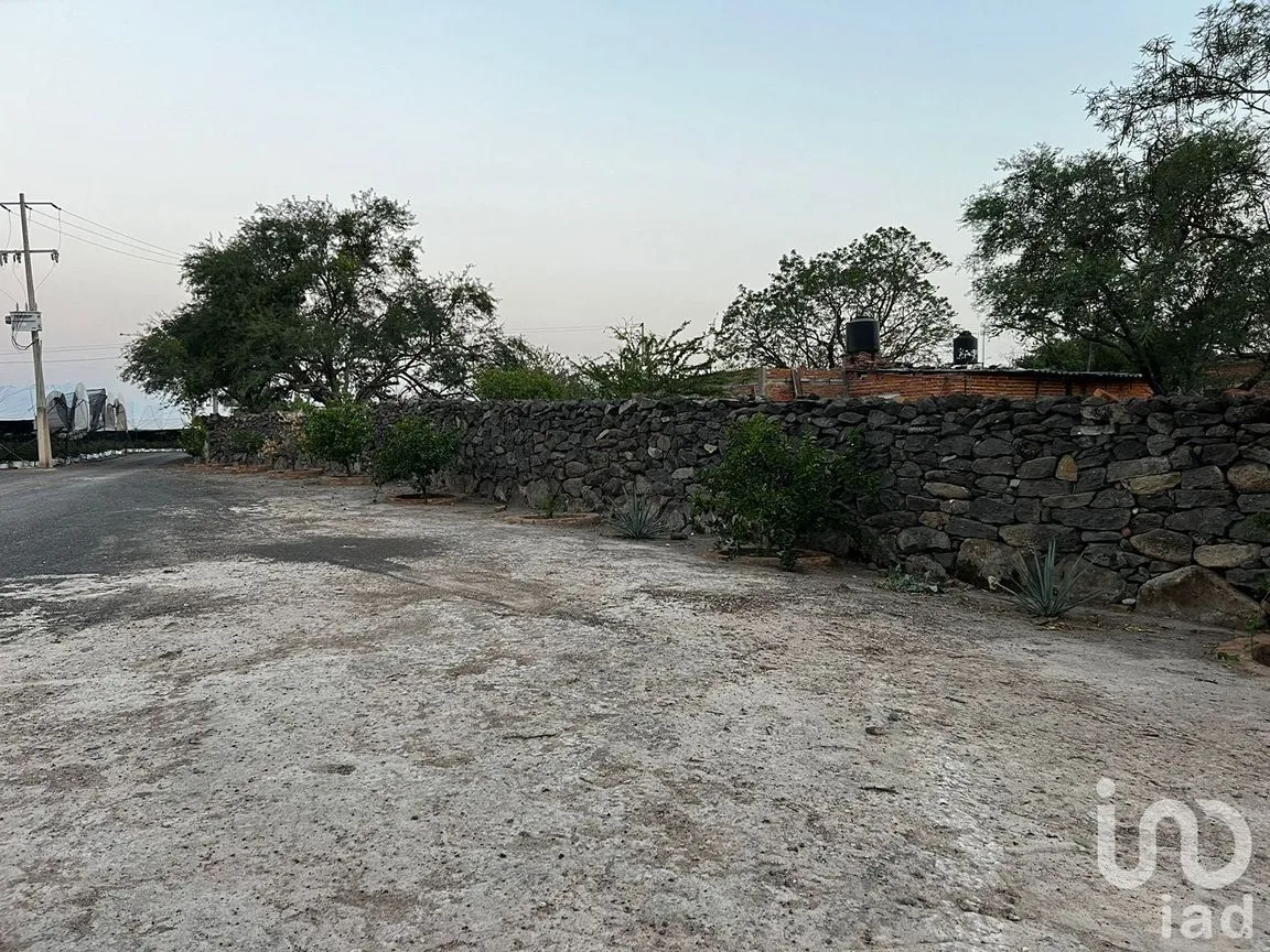 Rancho en Venta en Constitución, Zapotlanejo, Jalisco | NEX-232881 | iad México | Foto 7 de 8