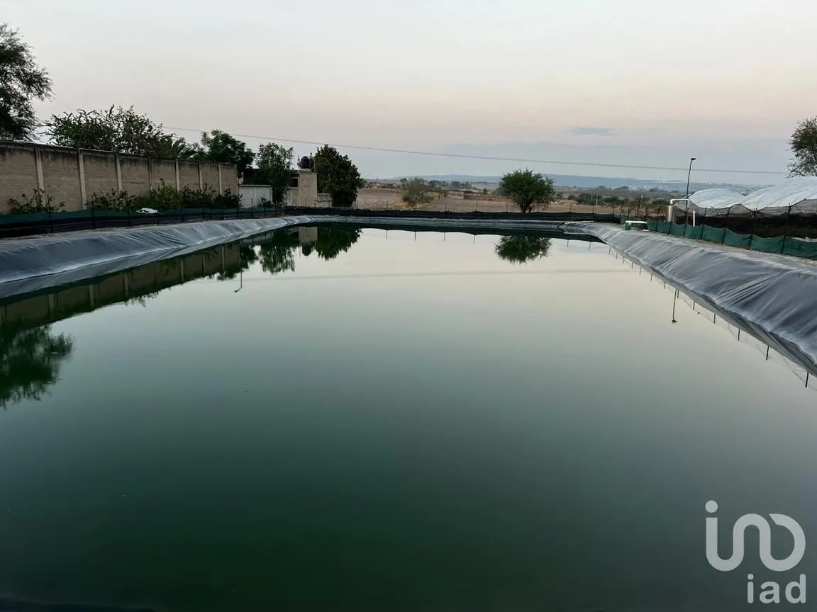Rancho en Venta en Constitución, Zapotlanejo, Jalisco | NEX-232881 | iad México | Foto 1 de 8