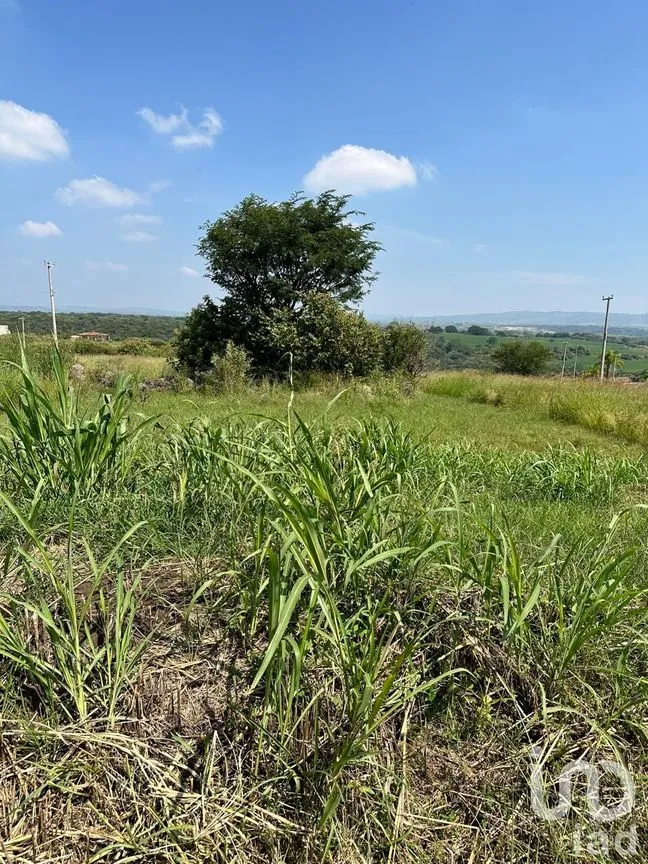 Terreno en Venta en Puertas del Sol (Autopista), Tonalá, Jalisco | NEX-233615 | iad México | Foto 3 de 7