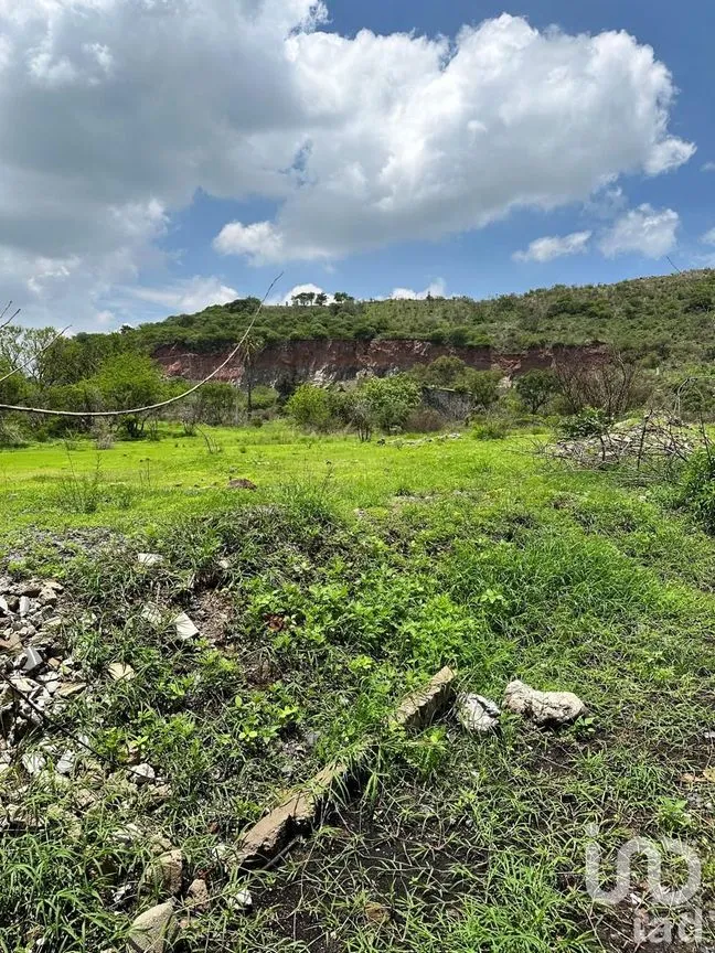 Terreno en Venta en Lomas de San Agustín, Tlajomulco de Zúñiga, Jalisco | NEX-240210 | iad México | Foto 3 de 7