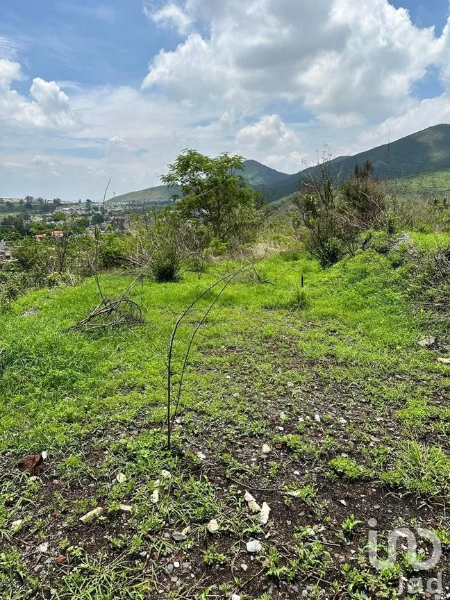 Terreno en Venta en Lomas de San Agustín, Tlajomulco de Zúñiga, Jalisco | NEX-240210 | iad México | Foto 4 de 7