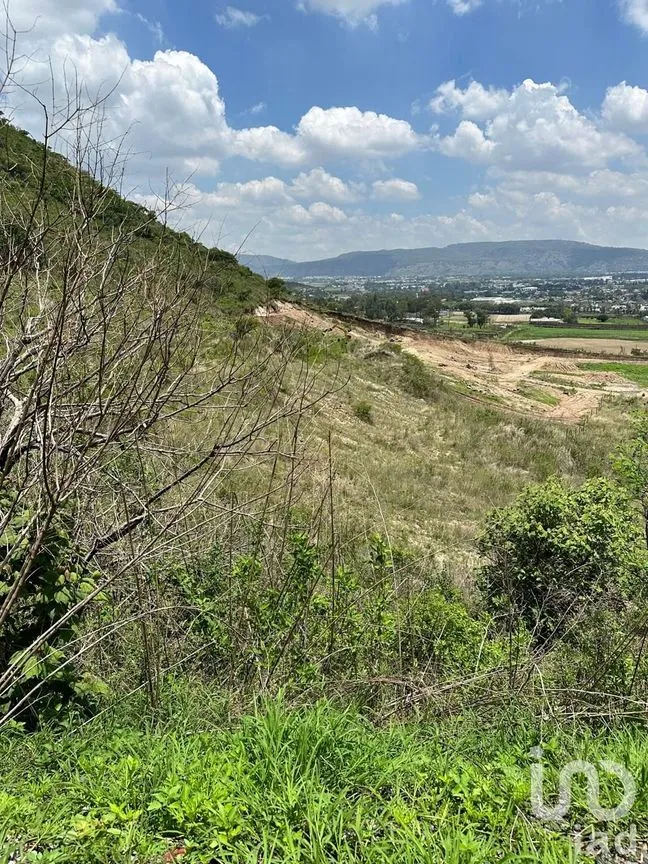 Terreno en Venta en Lomas de San Agustín, Tlajomulco de Zúñiga, Jalisco | NEX-240210 | iad México | Foto 1 de 7