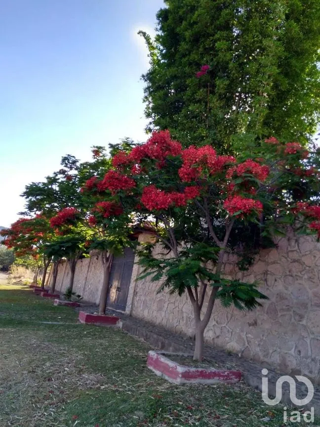 Rancho en Venta en Lomas de Montechelo (El Pedregal), Zapopan, Jalisco | NEX-242645 | iad México | Foto 6 de 6