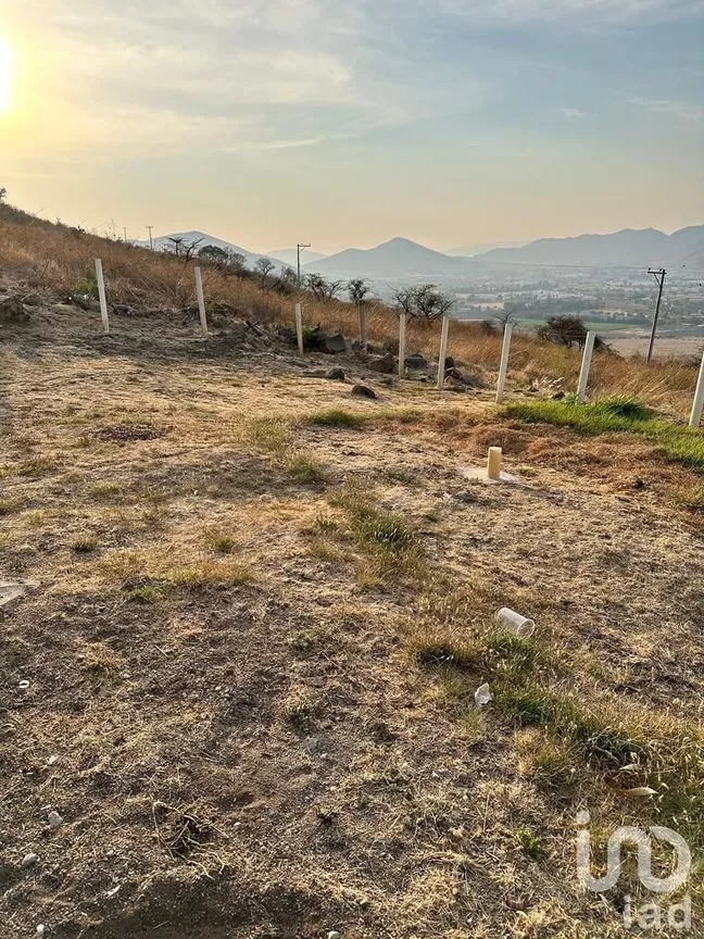 Casa en Venta en Pedregal de San Miguel, Tlajomulco de Zúñiga, Jalisco | NEX-249049 | iad México | Foto 9 de 14