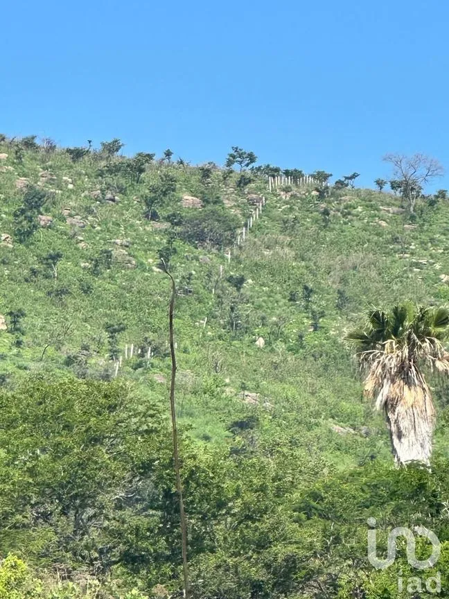 Terreno en Venta en Lomas de San Agustín, Tlajomulco de Zúñiga, Jalisco | NEX-254455 | iad México | Foto 2 de 12