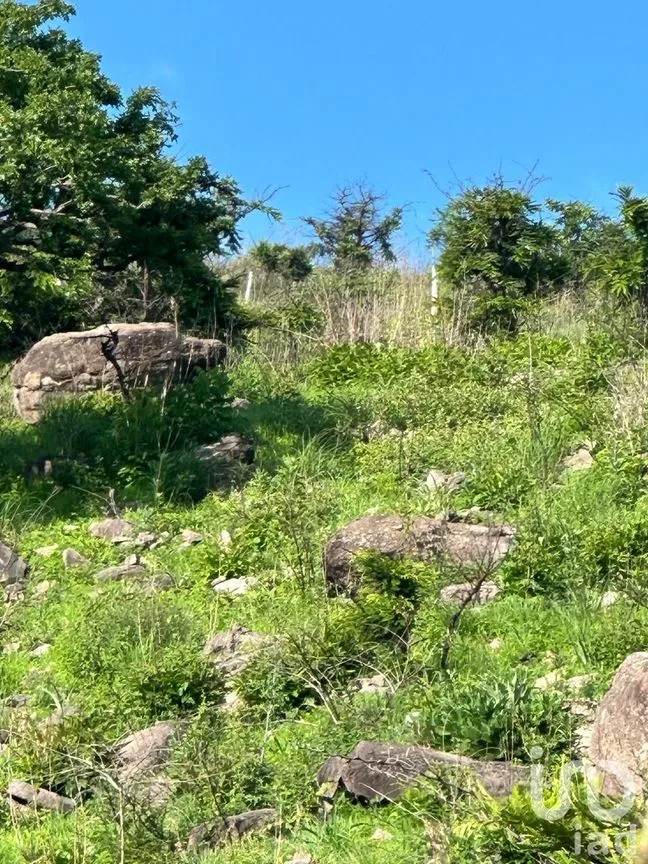 Terreno en Venta en Lomas de San Agustín, Tlajomulco de Zúñiga, Jalisco | NEX-254455 | iad México | Foto 11 de 12