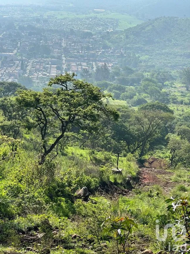 Terreno en Venta en Lomas de San Agustín, Tlajomulco de Zúñiga, Jalisco | NEX-254455 | iad México | Foto 12 de 12