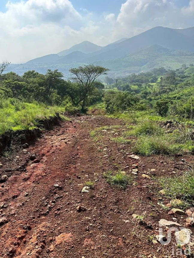 Terreno en Venta en Lomas de San Agustín, Tlajomulco de Zúñiga, Jalisco | NEX-254455 | iad México | Foto 4 de 12