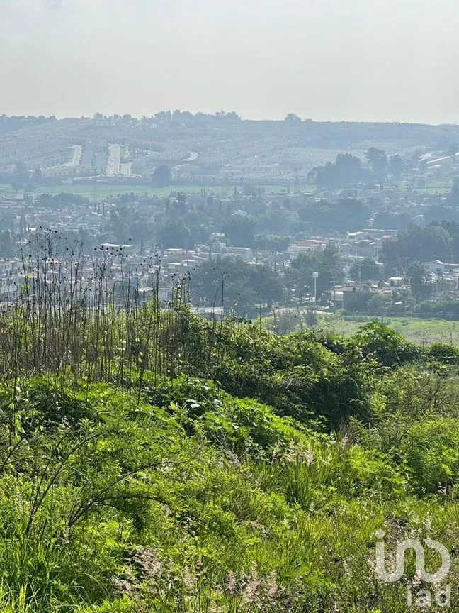 Terreno en Venta en Lomas de San Agustín, Tlajomulco de Zúñiga, Jalisco | NEX-254455 | iad México | Foto 5 de 12