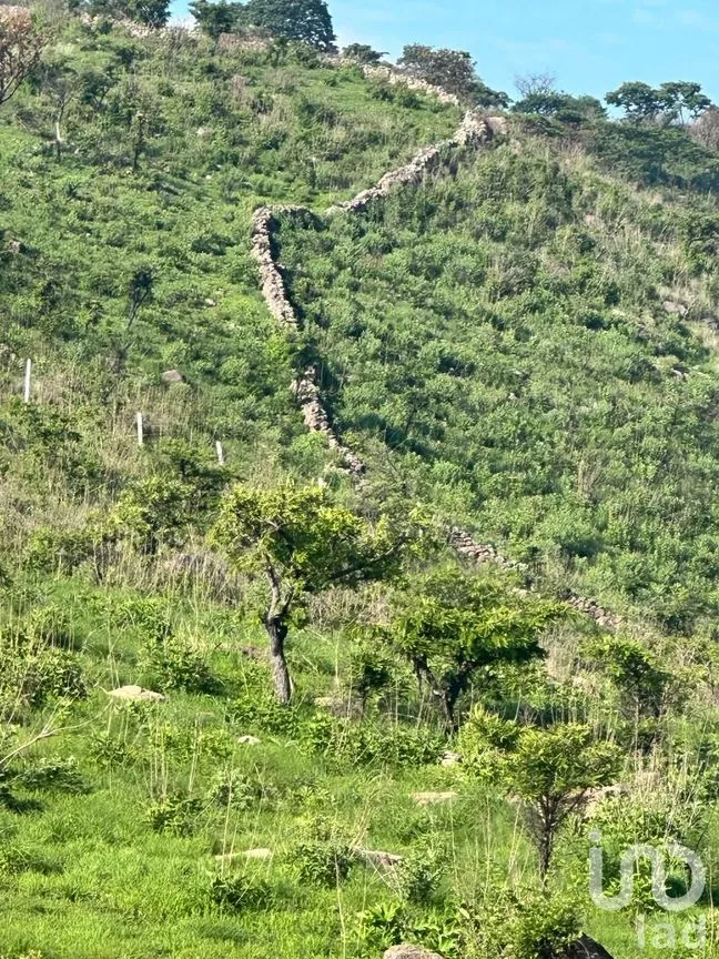 Terreno en Venta en Lomas de San Agustín, Tlajomulco de Zúñiga, Jalisco | NEX-254455 | iad México | Foto 7 de 12