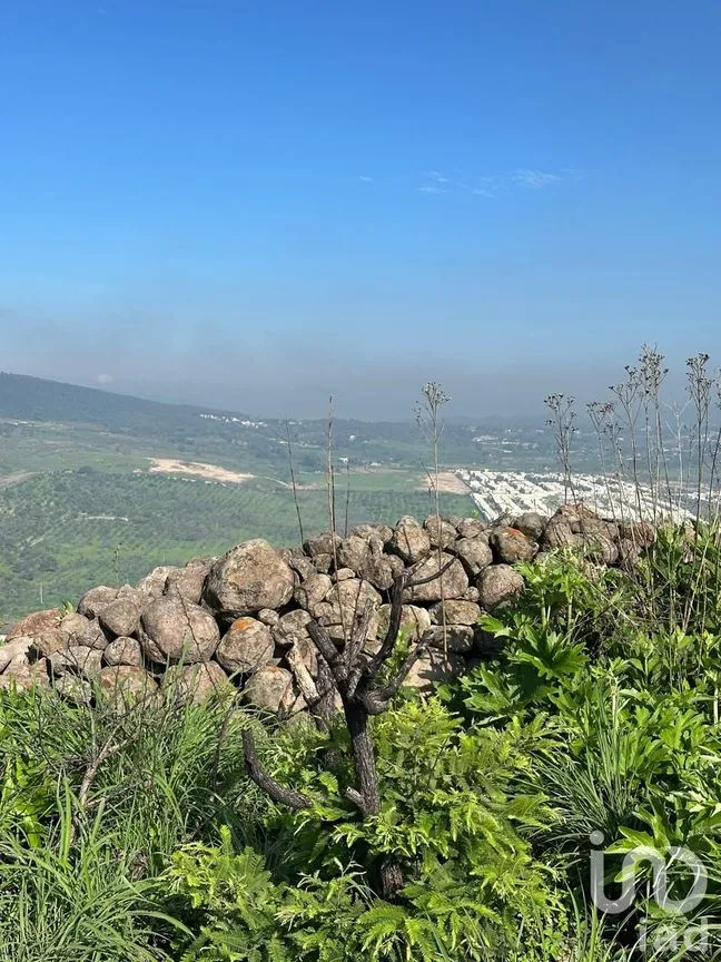 Terreno en Venta en Lomas de San Agustín, Tlajomulco de Zúñiga, Jalisco | NEX-254455 | iad México | Foto 9 de 12