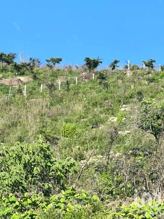 Terreno en Venta en Lomas de San Agustín, Tlajomulco de Zúñiga, Jalisco | NEX-254455 | iad México | Foto 10 de 12