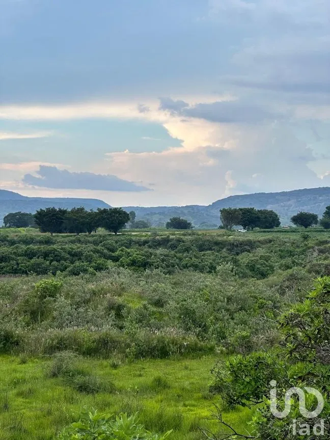 Terreno en Venta en Santa Cruz de la Loma (Tepetates), Tlajomulco de Zúñiga, Jalisco | NEX-256922 | iad México | Foto 3 de 6