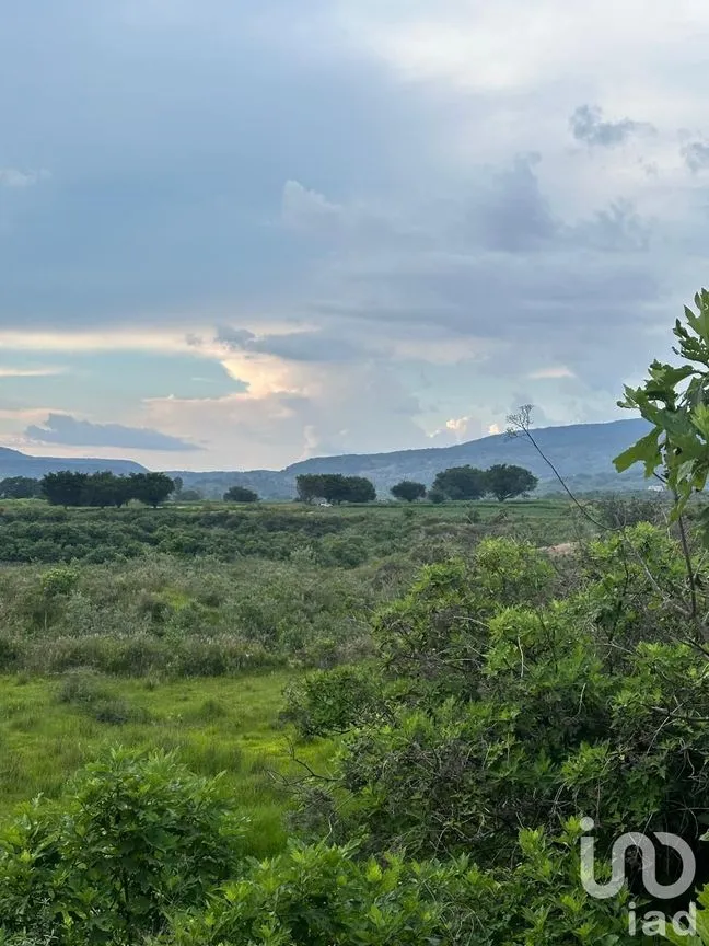 Terreno en Venta en Santa Cruz de la Loma (Tepetates), Tlajomulco de Zúñiga, Jalisco | NEX-256922 | iad México | Foto 4 de 6