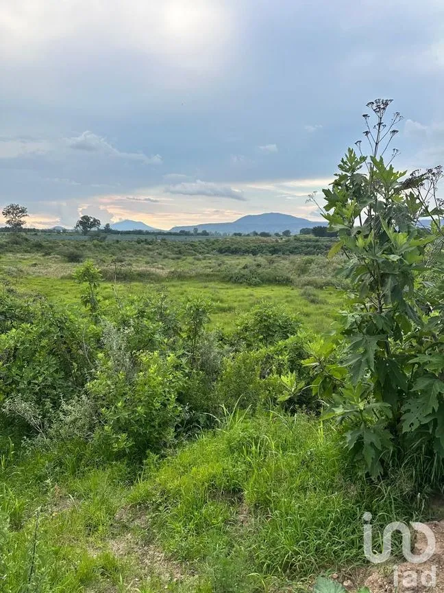 Terreno en Venta en Santa Cruz de la Loma (Tepetates), Tlajomulco de Zúñiga, Jalisco | NEX-256922 | iad México | Foto 5 de 6