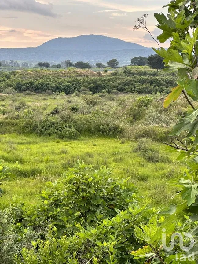 Terreno en Venta en Santa Cruz de la Loma (Tepetates), Tlajomulco de Zúñiga, Jalisco | NEX-256922 | iad México | Foto 6 de 6