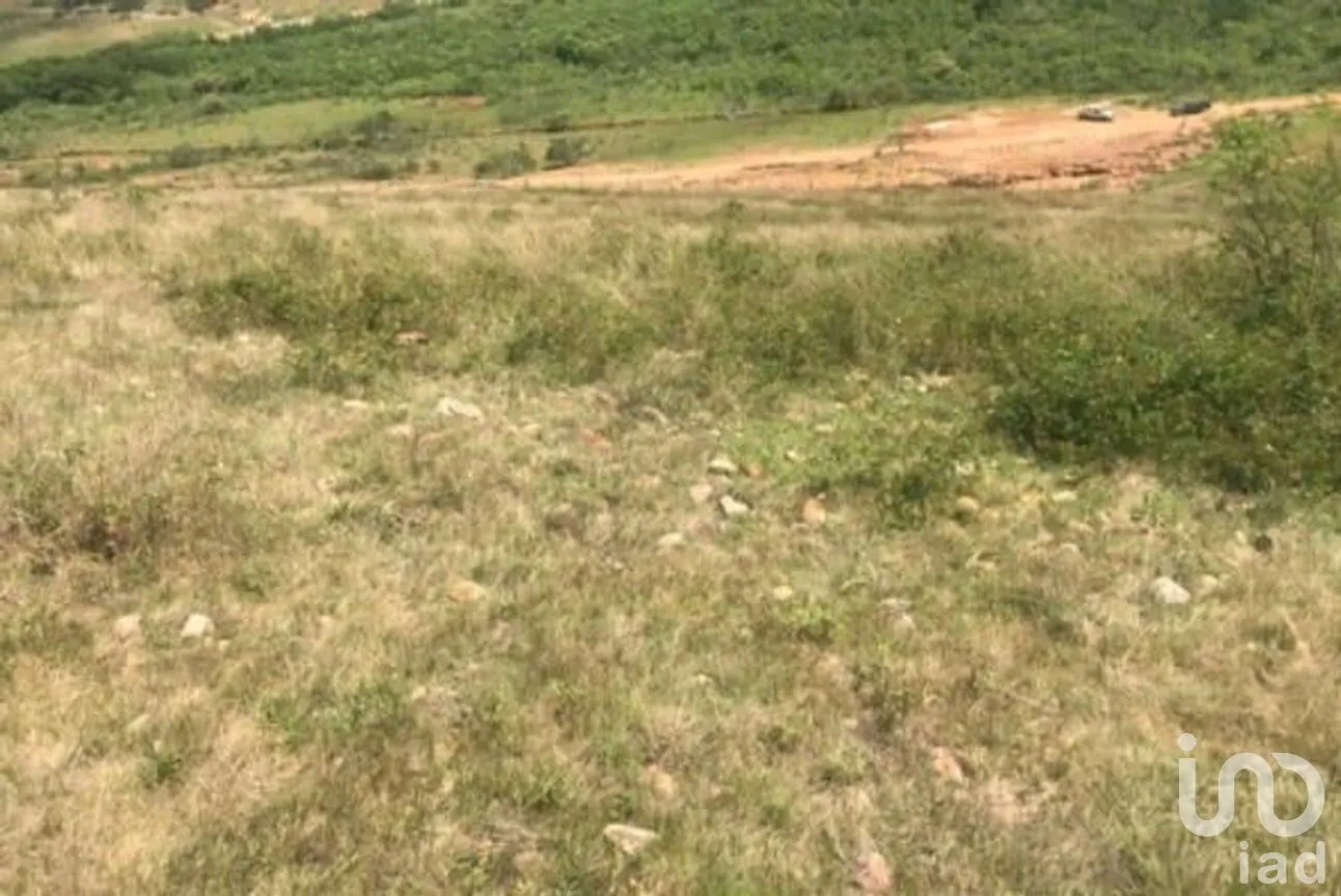Terreno en Venta en La Puerta del Coche, San Marcos, Jalisco | NEX-263493 | iad México | Foto 2 de 6