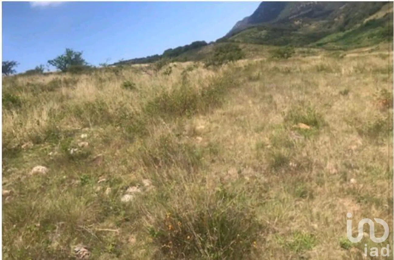 Terreno en Venta en La Puerta del Coche, San Marcos, Jalisco | NEX-263493 | iad México | Foto 3 de 6