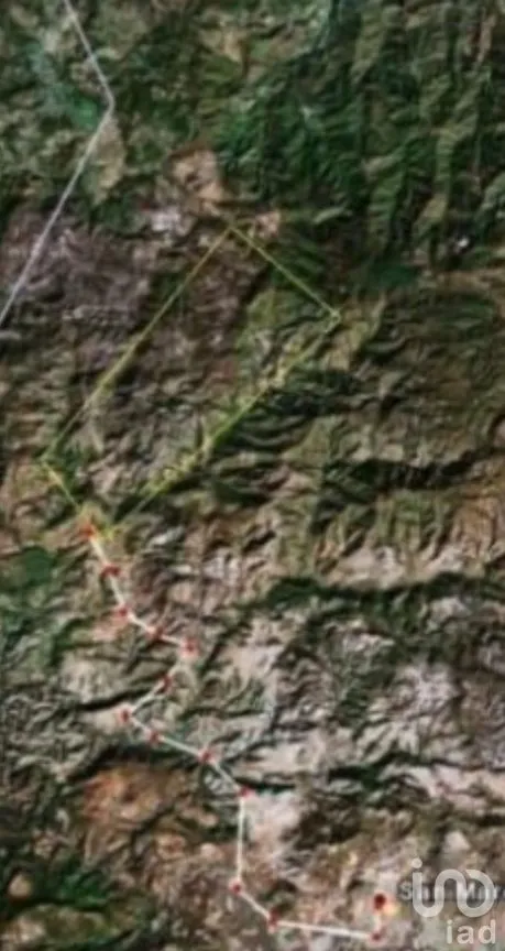 Terreno en Venta en La Puerta del Coche, San Marcos, Jalisco | NEX-263493 | iad México | Foto 4 de 6