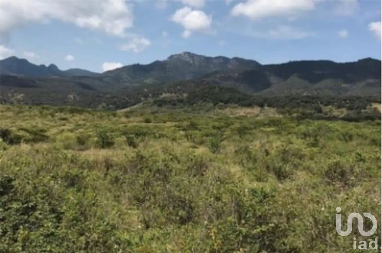 Terreno en Venta en La Puerta del Coche, San Marcos, Jalisco | NEX-263493 | iad México | Foto 5 de 6