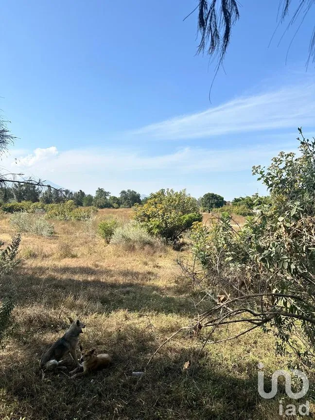 Terreno en Venta en Emiliano Zapata, El Arenal, Jalisco | NEX-263598 | iad México | Foto 2 de 13