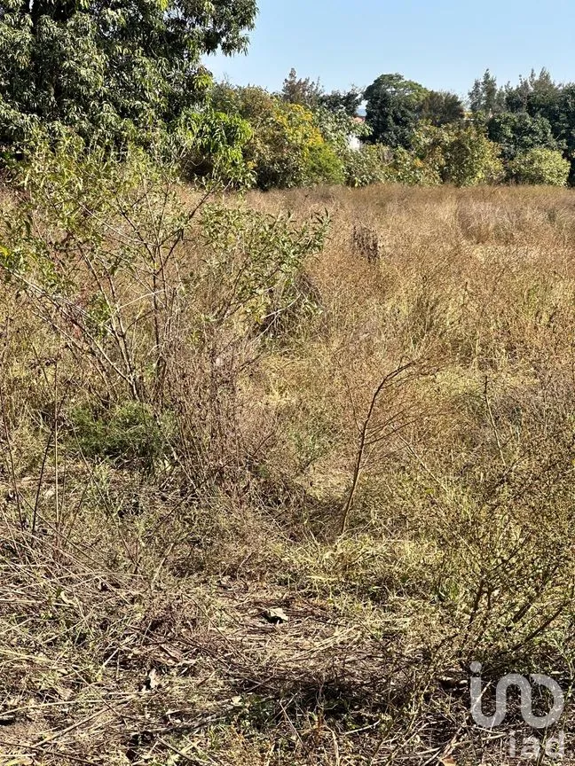 Terreno en Venta en Emiliano Zapata, El Arenal, Jalisco | NEX-263598 | iad México | Foto 3 de 13