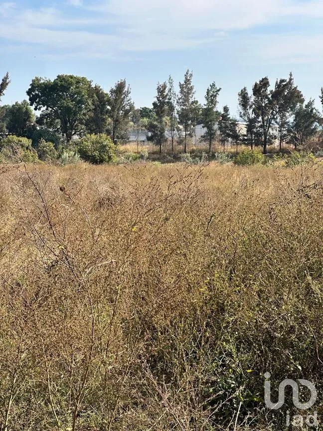 Terreno en Venta en Emiliano Zapata, El Arenal, Jalisco | NEX-263598 | iad México | Foto 4 de 13