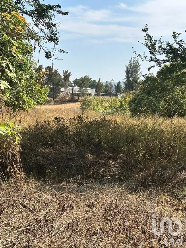 Terreno en Venta en Emiliano Zapata, El Arenal, Jalisco | NEX-263598 | iad México | Foto 5 de 13