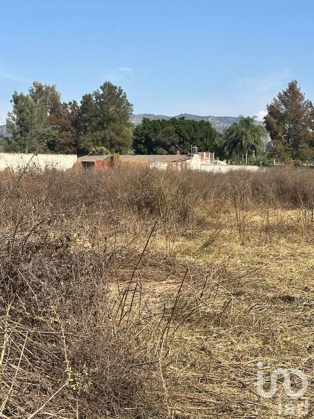 Terreno en Venta en Emiliano Zapata, El Arenal, Jalisco | NEX-263598 | iad México | Foto 6 de 13