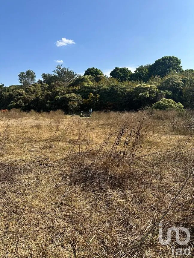 Terreno en Venta en Emiliano Zapata, El Arenal, Jalisco | NEX-263598 | iad México | Foto 7 de 13