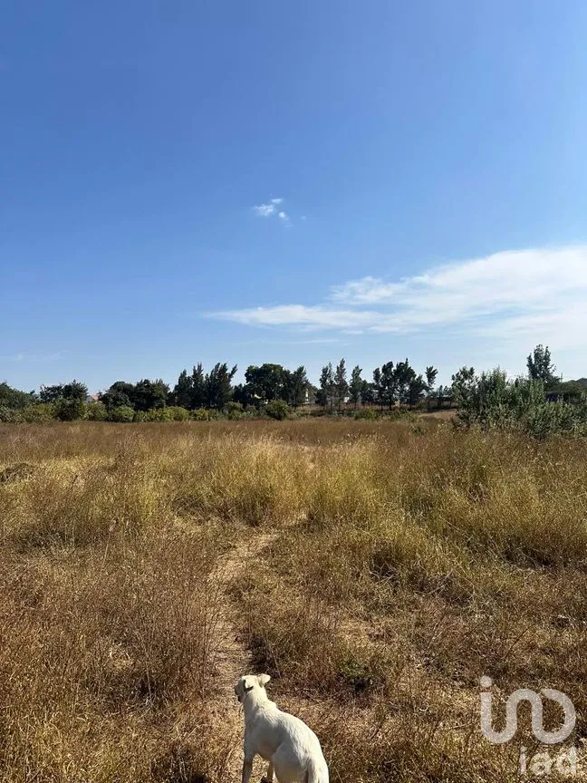 Terreno en Venta en Emiliano Zapata, El Arenal, Jalisco | NEX-263598 | iad México | Foto 8 de 13