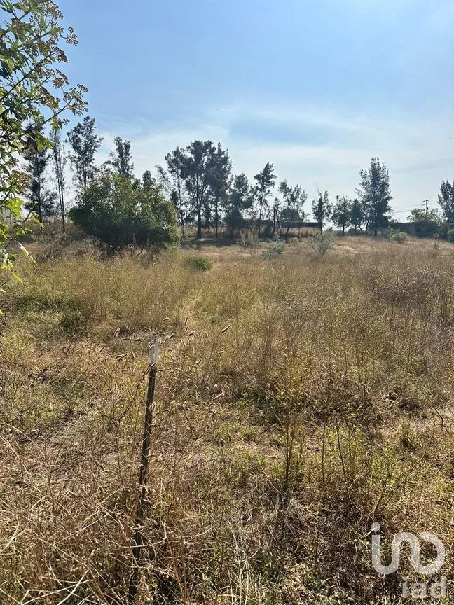 Terreno en Venta en Emiliano Zapata, El Arenal, Jalisco | NEX-263598 | iad México | Foto 9 de 13