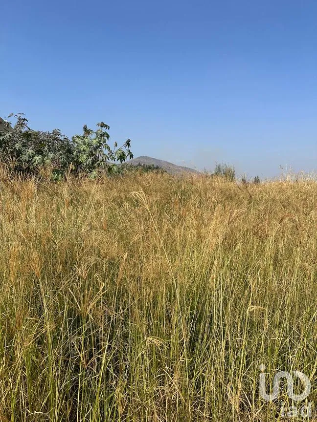 Terreno en Venta en Villas Terranova, Tlajomulco de Zúñiga, Jalisco | NEX-263603 | iad México | Foto 3 de 7