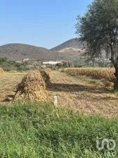 NEX-263729 - Terreno en Venta en San Miguel Cuyutlan, CP 45660, Jalisco.