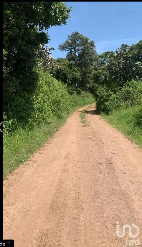 Terreno en Venta en Atemajac de Brizuela, Atemajac de Brizuela, Jalisco | NEX-264652 | iad México | Foto 3 de 8