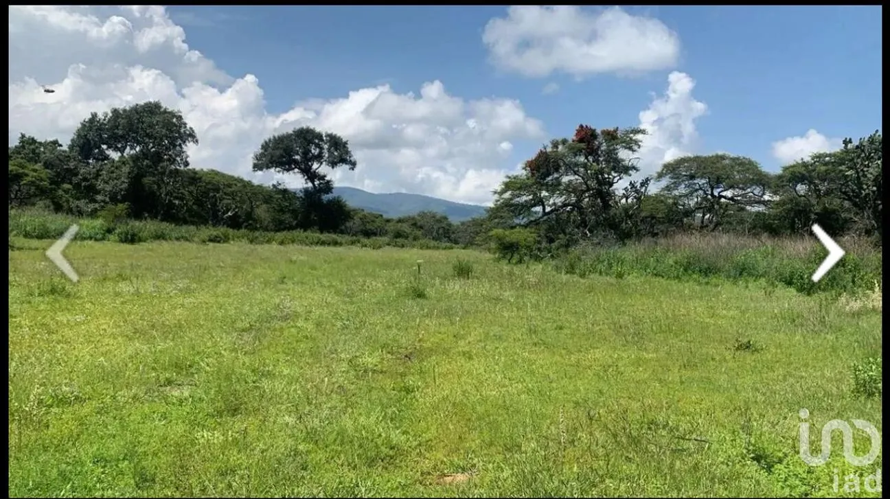 Terreno en Venta en Atemajac de Brizuela, Atemajac de Brizuela, Jalisco | NEX-264652 | iad México | Foto 4 de 8