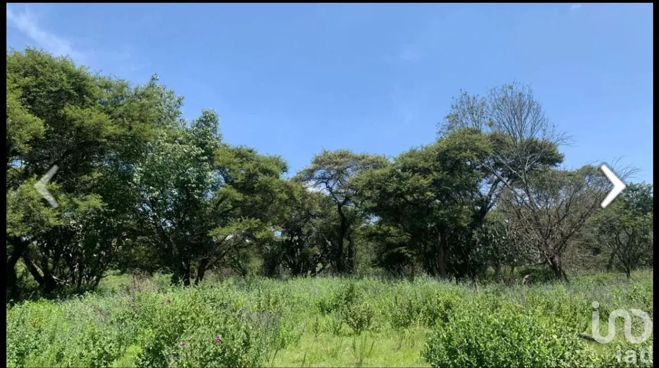 Terreno en Venta en Atemajac de Brizuela, Atemajac de Brizuela, Jalisco | NEX-264652 | iad México | Foto 5 de 8