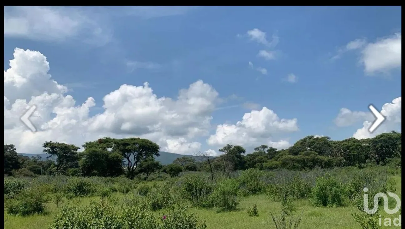 Terreno en Venta en Atemajac de Brizuela, Atemajac de Brizuela, Jalisco | NEX-264652 | iad México | Foto 6 de 8