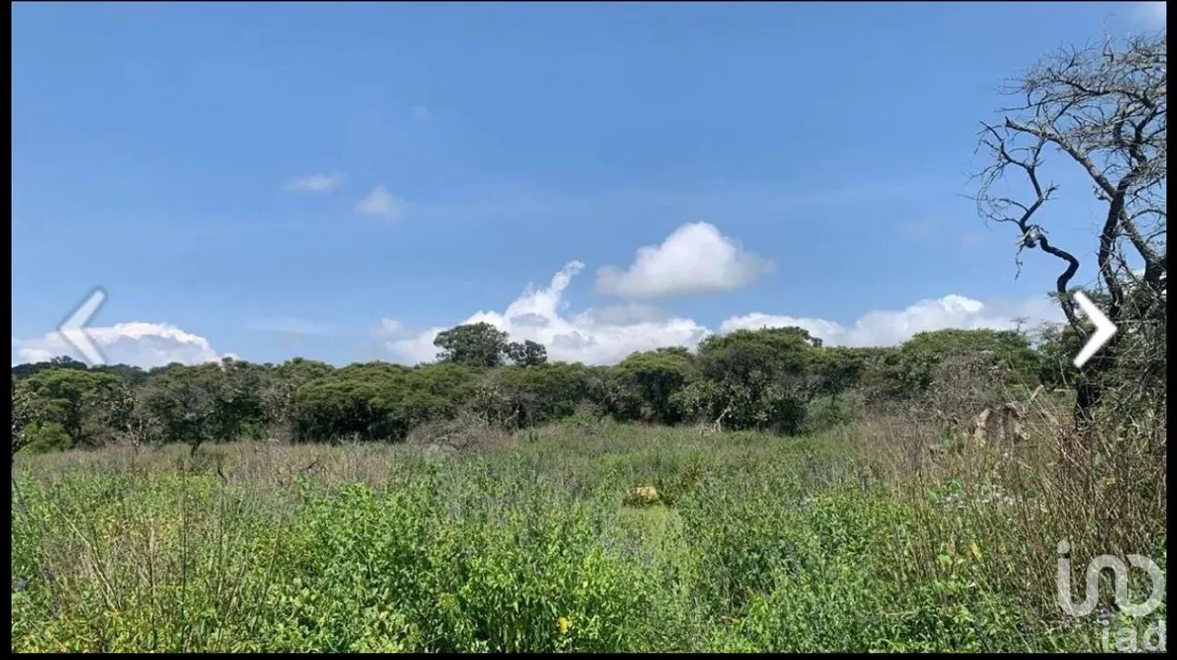 Terreno en Venta en Atemajac de Brizuela, Atemajac de Brizuela, Jalisco | NEX-264652 | iad México | Foto 7 de 8