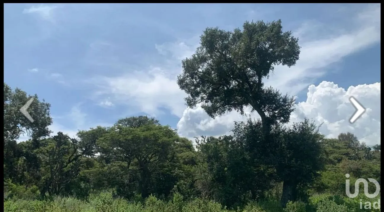 Terreno en Venta en Atemajac de Brizuela, Atemajac de Brizuela, Jalisco | NEX-264652 | iad México | Foto 8 de 8