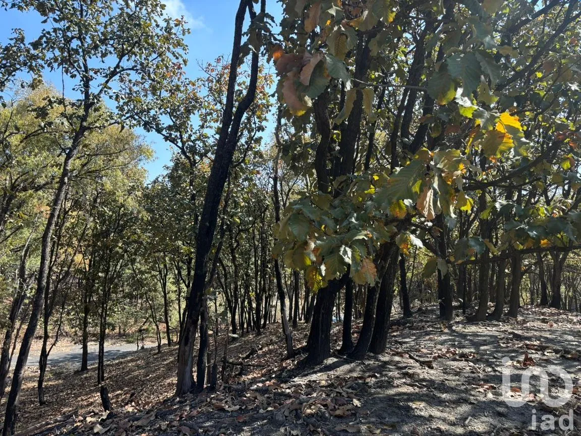 Terreno en Venta en Los Robles, Zapopan, Jalisco | NEX-293586 | iad México | Foto 11 de 17