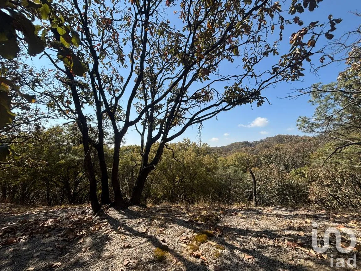 Terreno en Venta en Los Robles, Zapopan, Jalisco | NEX-293586 | iad México | Foto 12 de 17