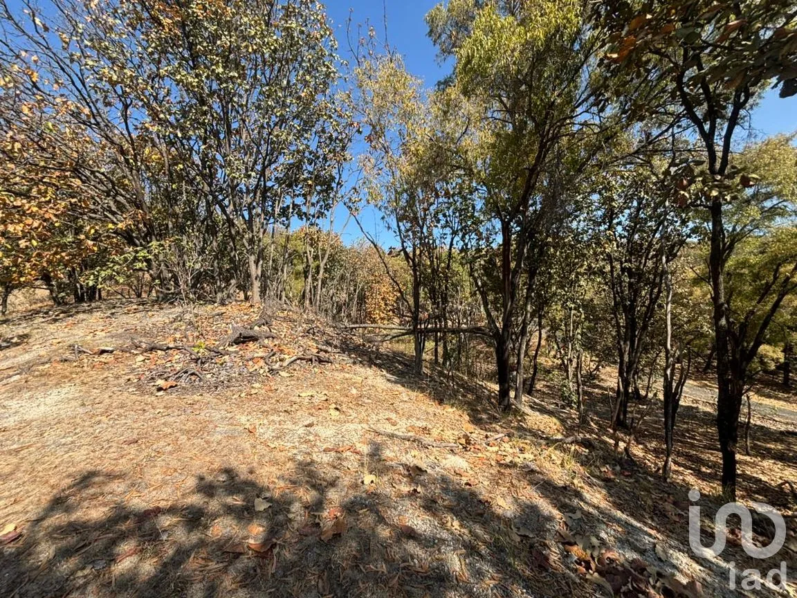 Terreno en Venta en Los Robles, Zapopan, Jalisco | NEX-293586 | iad México | Foto 14 de 17